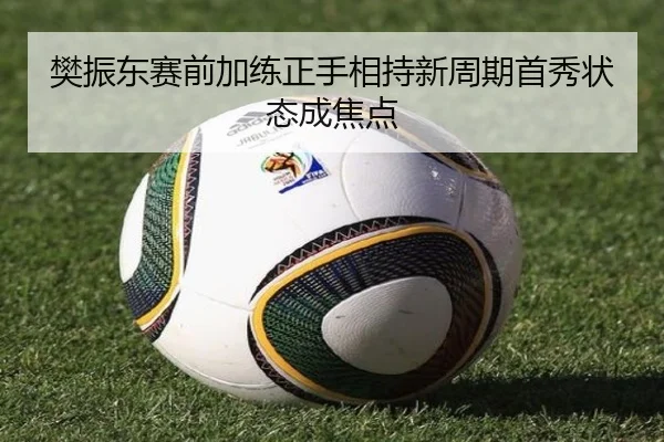 樊振东赛前加练正手相持新周期首秀状态成焦点