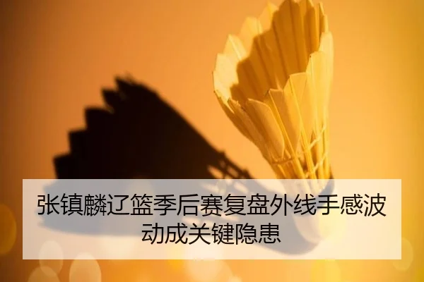 张镇麟辽篮季后赛复盘外线手感波动成关键隐患
