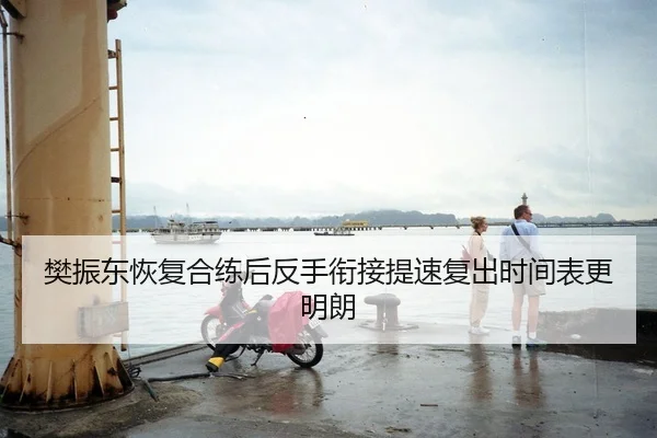 樊振东恢复合练后反手衔接提速复出时间表更明朗